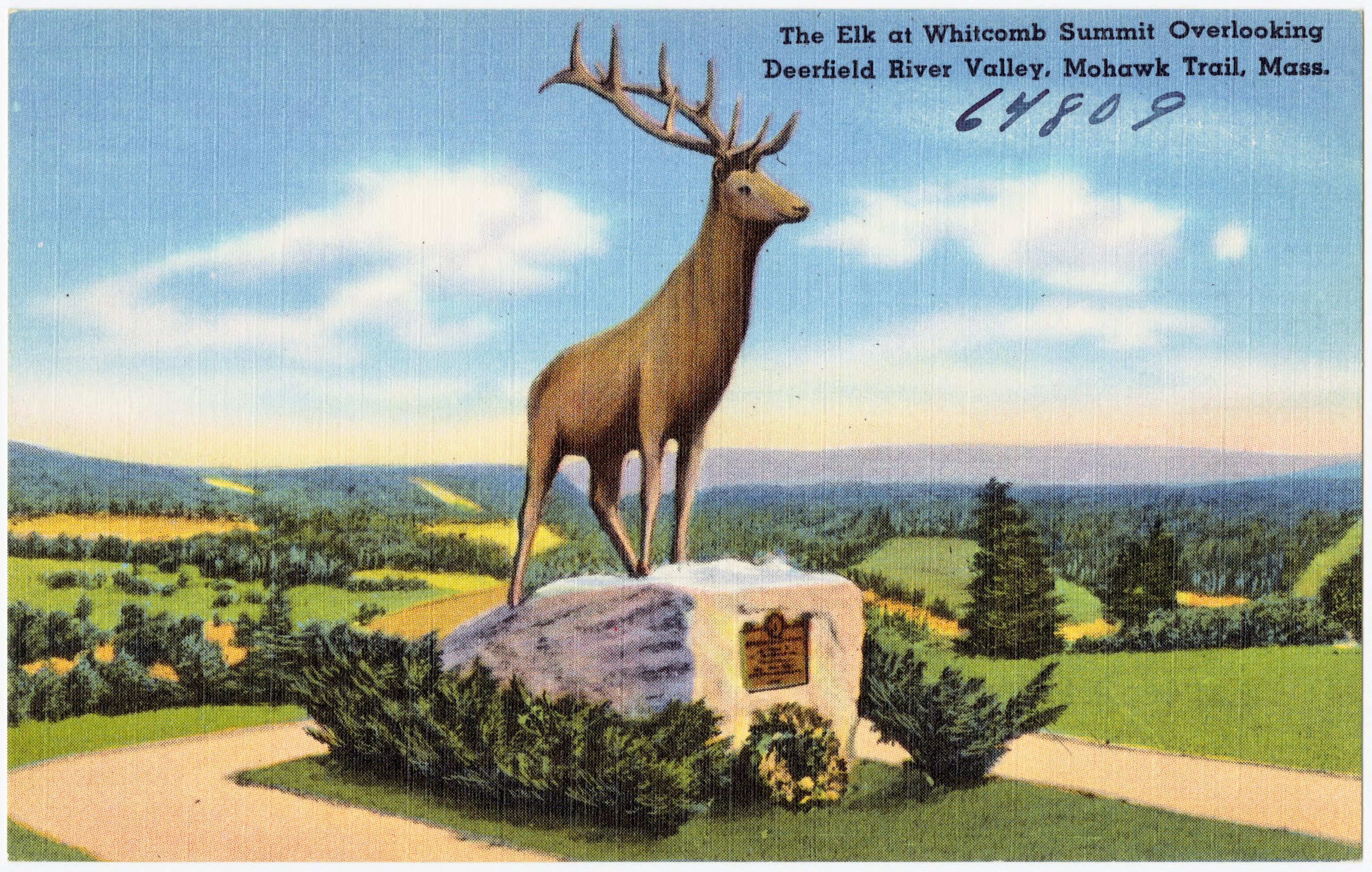 Color drawing of a statue of an elk standing on a stone pedestal with a small bronze plaque attached to the front side. Around the statue are bushes and a path. A wreath is placed against the front of the pedestal. In the background there is a blue sky and forested area. Typed text in the top right of the image states The Elk at Whitcomb Summit Overlooking / Deerfield River Valley, Mohawk Trail, Mass. Below that there is handwritten text that says 64809.